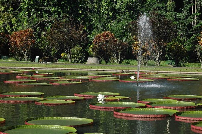 Bogor Botanical Garden & Rainforest Trekking to Hidden Waterfall - Key points at a glance