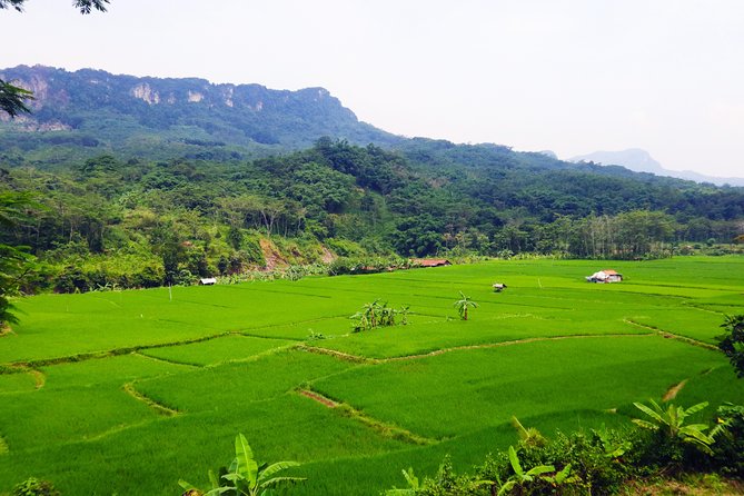 Bogor Botanical Garden & Rainforest Trekking to Hidden Waterfall - Why Bogor makes a good escape from Jakarta