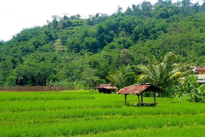 Bogor Botanical Garden & Rainforest Trekking to Hidden Waterfall - The Gede Pangrango National Park trek