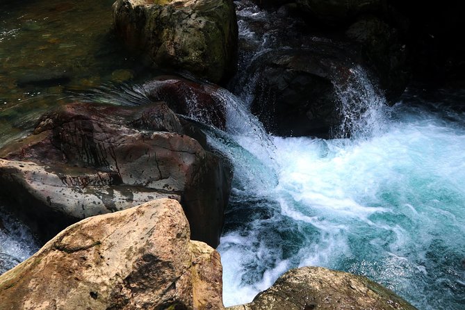 Bogor Botanical Garden & Rainforest Trekking to Hidden Waterfall - Reaching 40-meter Cikaracak Waterfall