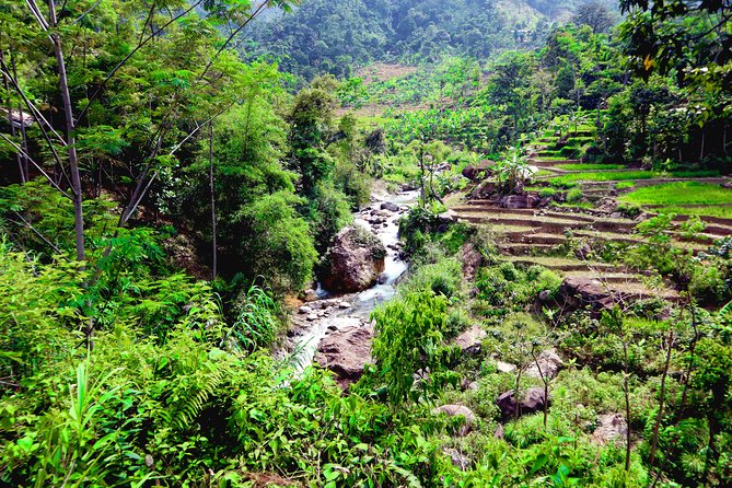 Bogor Botanical Garden & Rainforest Trekking to Hidden Waterfall - Guides who shape the experience