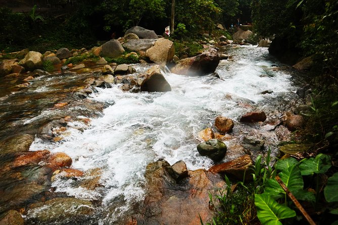 Bogor Botanical Garden & Rainforest Trekking to Hidden Waterfall - Who should book this day trip?