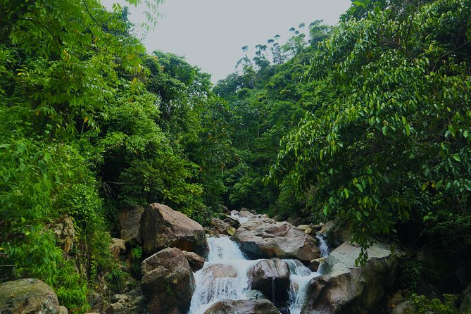 Bogor Botanical Garden & Rainforest Trekking to Hidden Waterfall - Bogor Botanical Garden after 1817