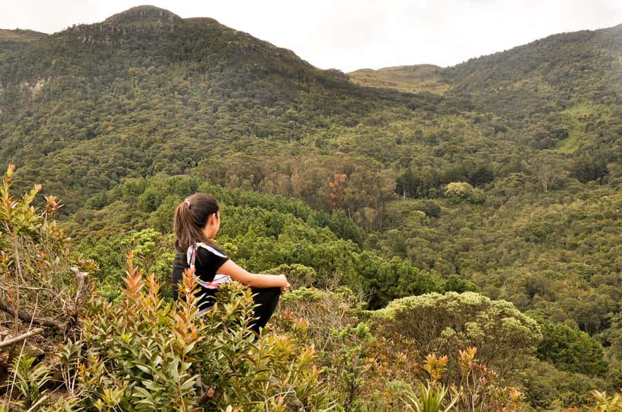 Bogota: East Hills Mountain Hike - Climbing from 2,600 to 3,100 meters