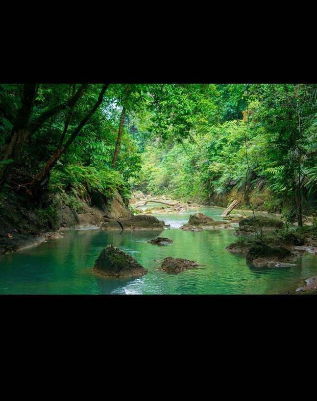 Bohol: Hidden Waterfall Hopping and Jungle Trek Adventure - What the $29 price really covers
