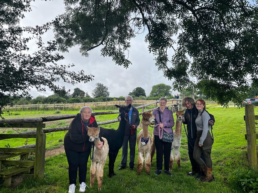Brackenfield: Alpaca Trek - What to wear and bring
