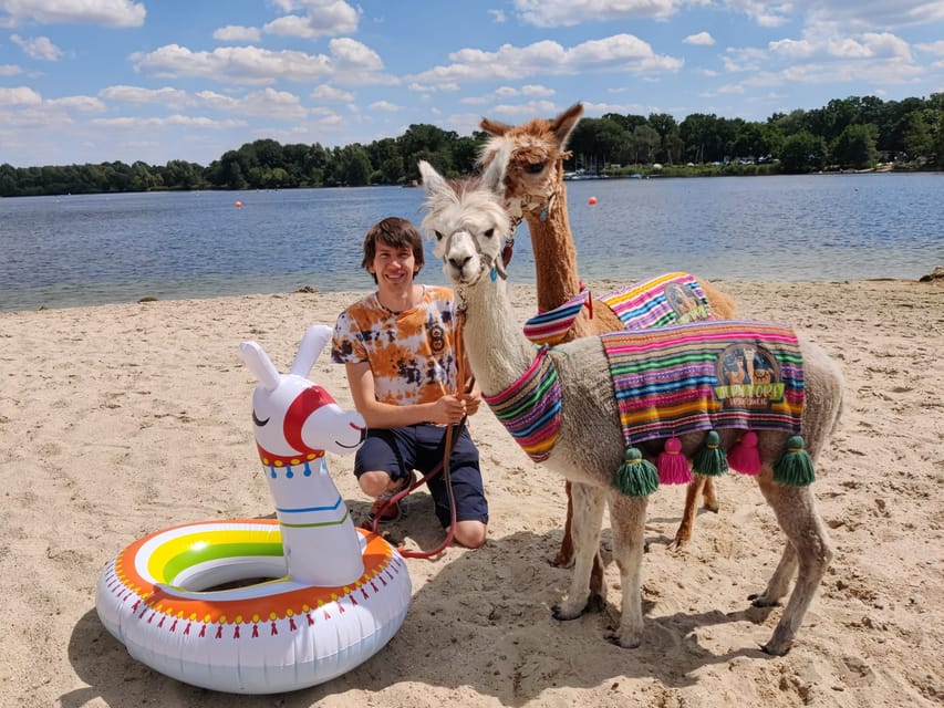 Braunschweig: Alpaca Trekking Tour - The planned photo stop and the return to the herd