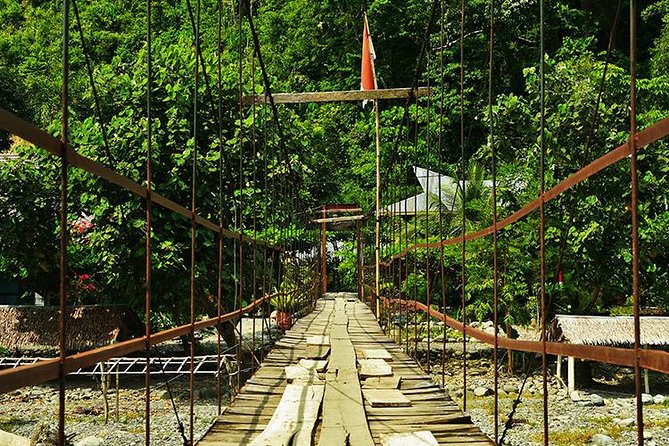Bukit Lawang Full Day Jungle Trek - Looking for macaques, gibbons, and hornbills