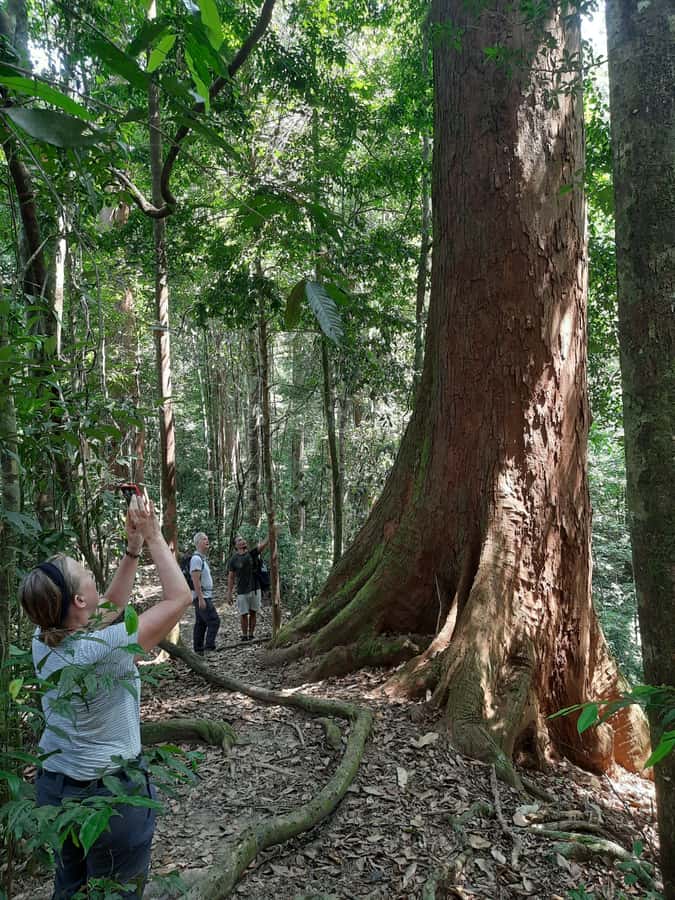Bukit Lawang: Jungle Trekking and Rafting Day Trip - The road from Medan to Bukit Lawang