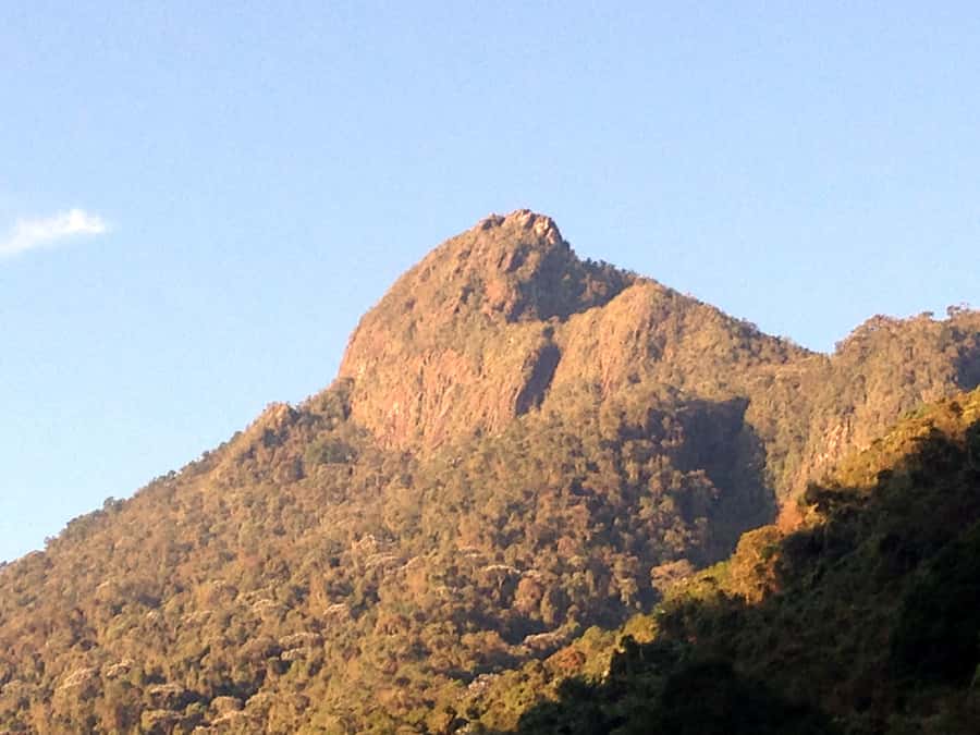 Cali: Pico de Loro Trekking Adventure - Farallones de Cali - A serious climb in Cali’s Farallones