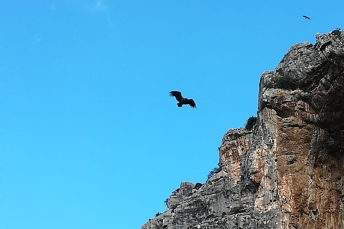 Caminito del Rey Trekking Walkway - What the guide adds, and what the guide cannot fix