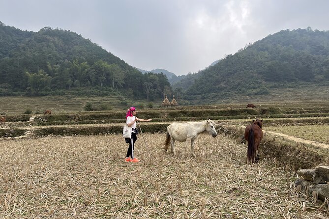 Cao Bang Easy Trekking Tours 2Days/1Night Ban Gioc Waterfall ET1 - The overnight bus from Hanoi to Cao Bang