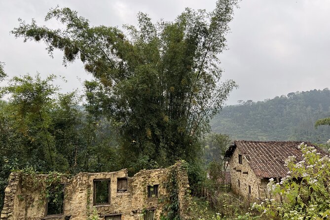 Cao Bang Easy Trekking Tours 2Days/1Night Ban Gioc Waterfall ET1 - Rice fields, forest, and stream paths