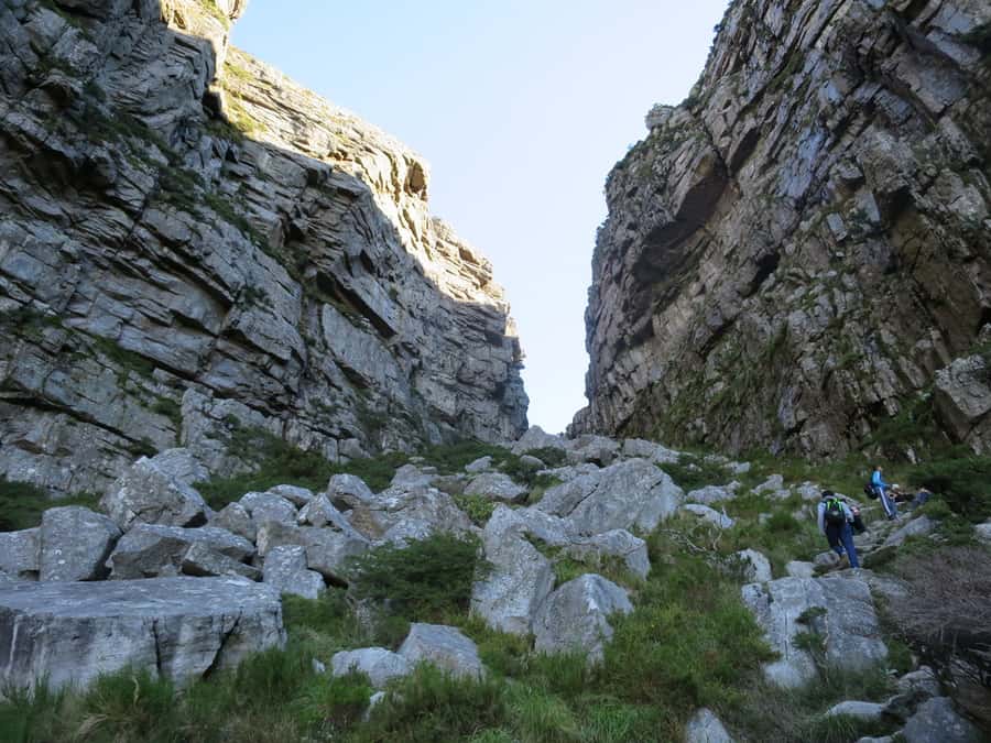 Cape Town: 3-Hour Table Mountain Hike via Platteklip Gorge - Meeting at Tafelberg Road