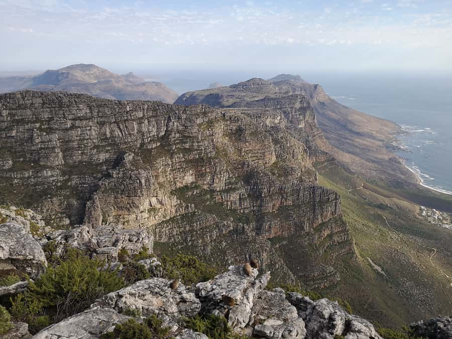Cape Town: 3-Hour Table Mountain Hike via Platteklip Gorge - Reaching the Table Mountain summit