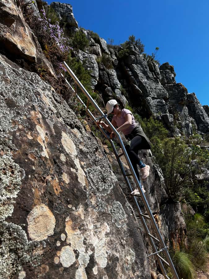 Cape Town: Lion's Head Summit Hike - Private - Who Will Enjoy This Hike Most