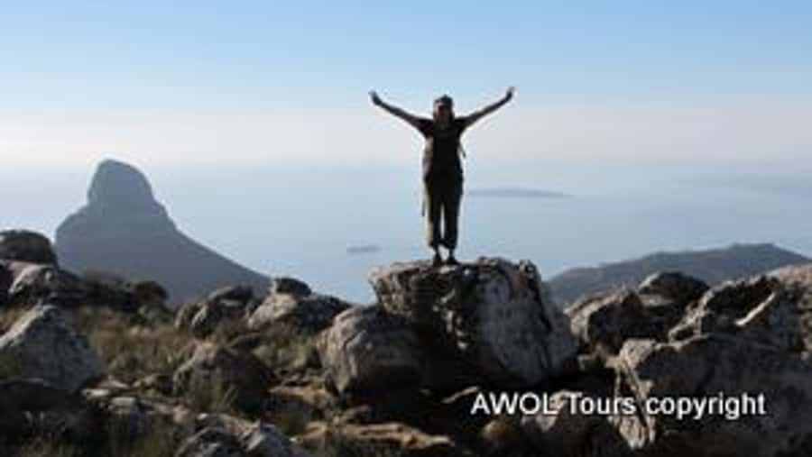 Cape Town Private Guided Table Mountain Hikes - Is $294 per person good value?