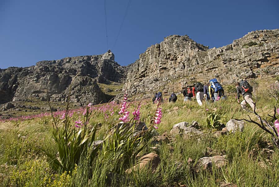 Cape Town Private Guided Table Mountain Hikes - FAQ