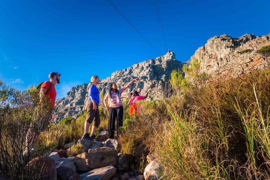 Cape Town Private Guided Table Mountain Hikes - Choosing between six Table Mountain routes