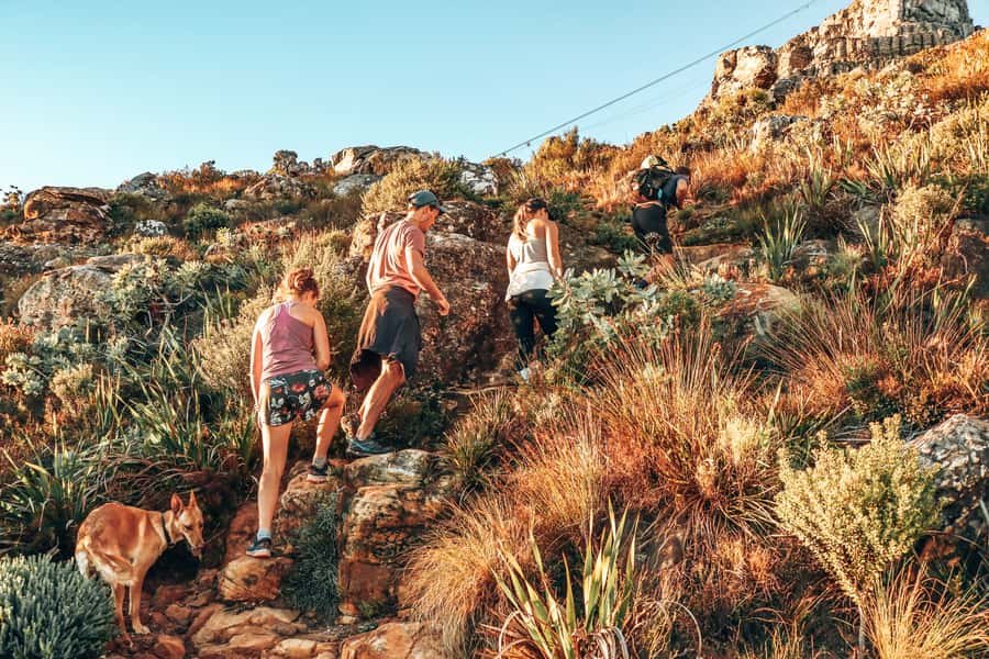 Cape Town: Table Mountain Hike via India Venster - Where Fatima’s personal touches add value