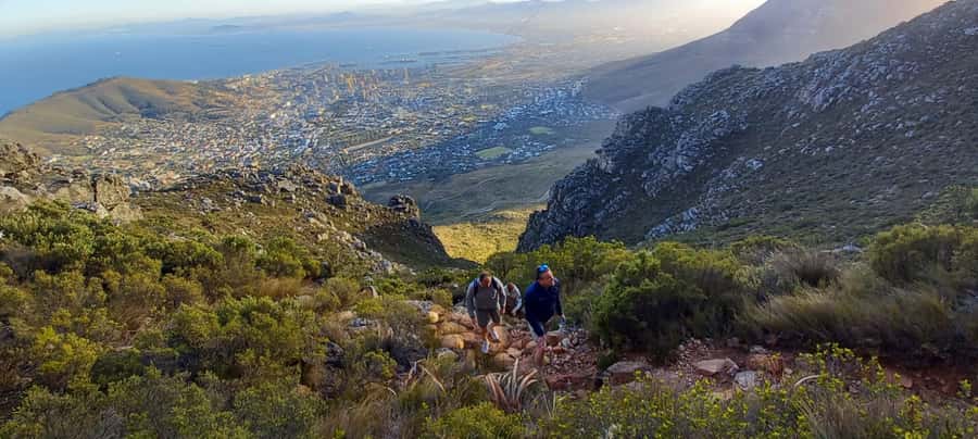 Cape Town: Table Mountain Hike via India Venster Morning - Cable car down, and the cost of the experience