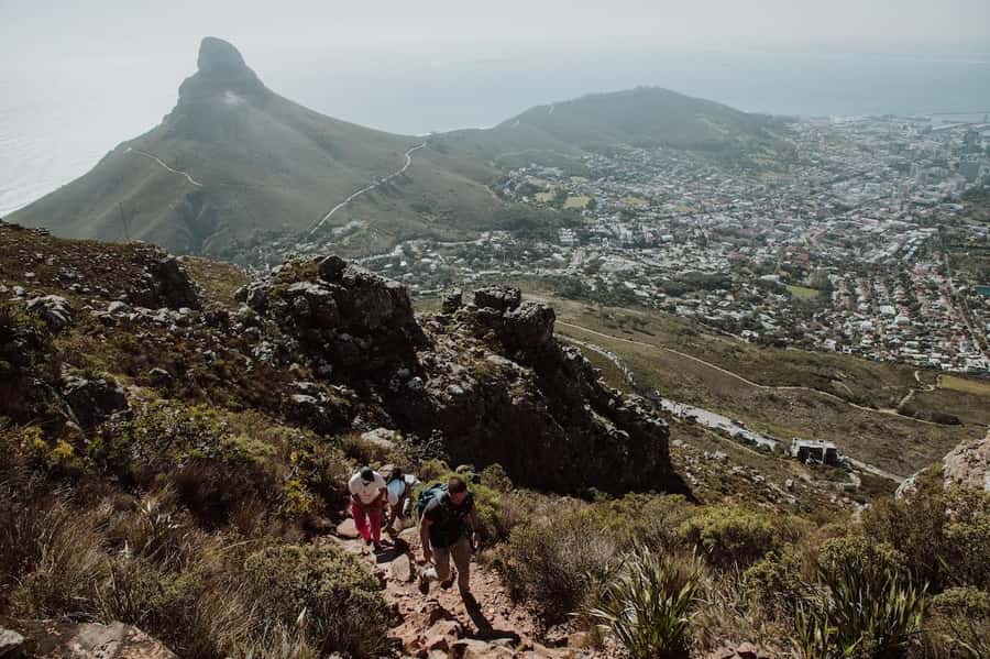Cape Town: Table Mountain Hike with an Experienced Guide - Key points to know before you book