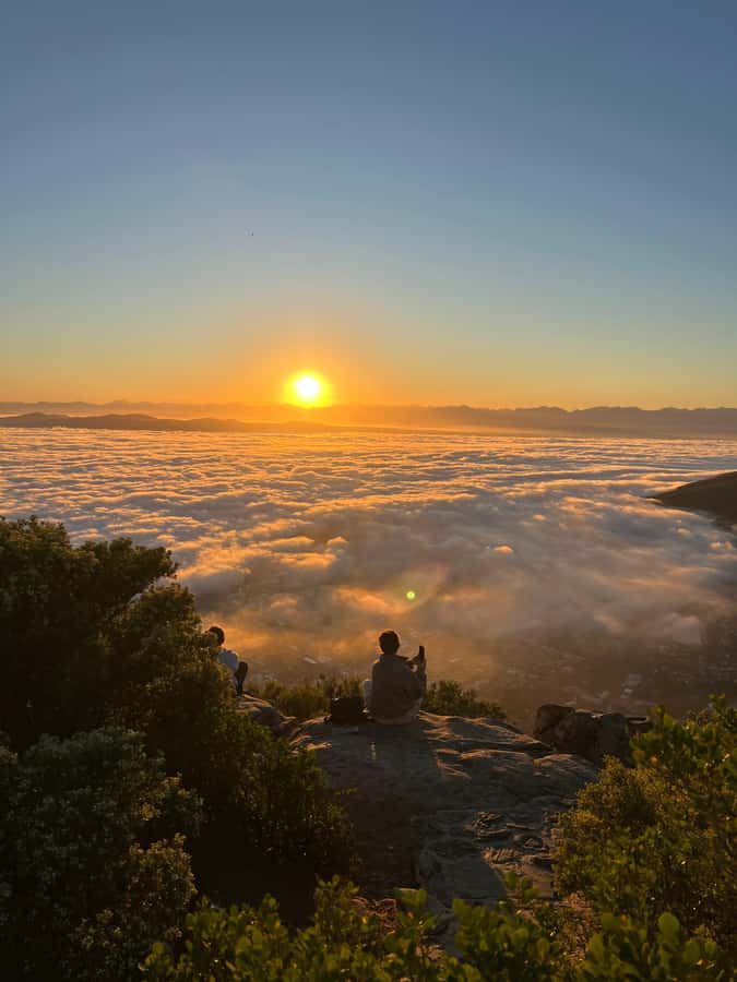 Cape Town: Table Mountain Hike with an Experienced Guide - What happens during the hike
