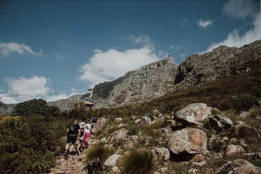 Cape Town: Table Mountain Hike with an Experienced Guide - The mountain lesson is part of the value