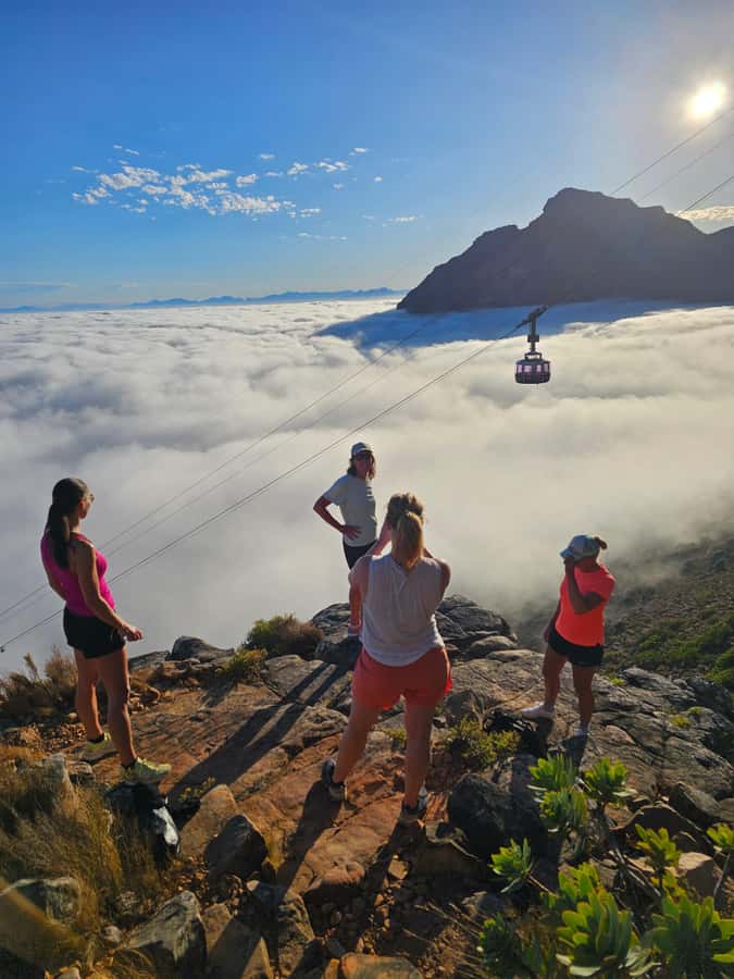 Cape Town: Table Mountain Hike with an Expert Guide - Fynbos, birds, and the Cape Floral Kingdom