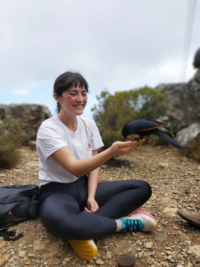 Cape Town: Table Mountain Hike with an Expert Guide - Picking the right Table Mountain route