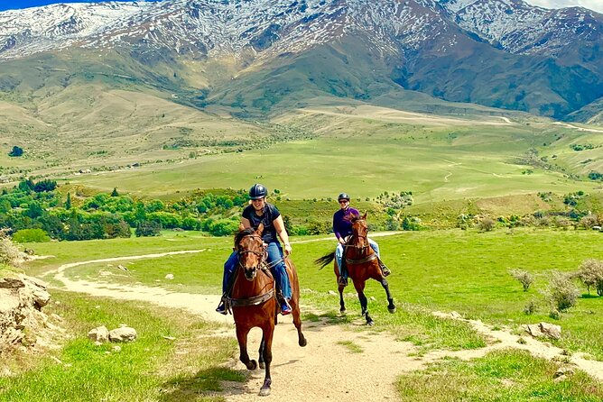 Cardrona High Country Pub Trail Horse Trek (Intermediate level+) - A real Cardrona outing, not a gentle pony ride