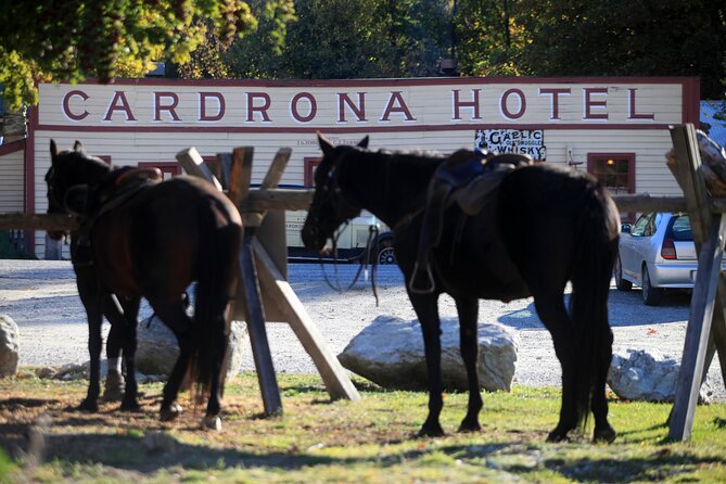 Cardrona High Country Pub Trail Horse Trek (Intermediate level+) - Climbing into Cardrona’s high country