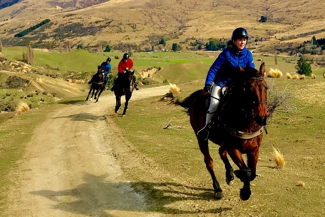Cardrona High Country Pub Trail Horse Trek (Intermediate level+) - Farm animals, rivers, and faster riding