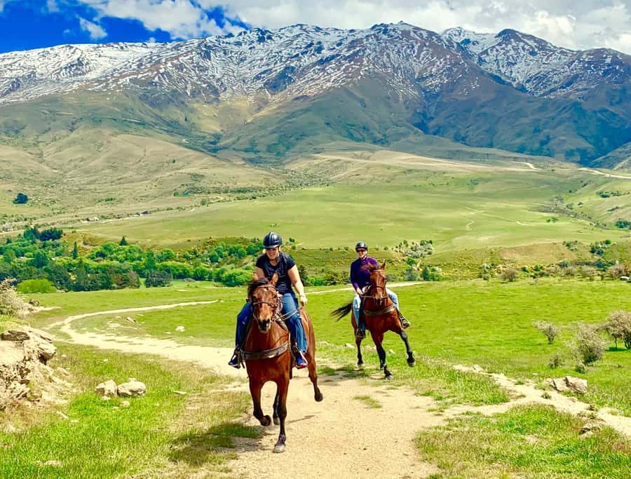 Cardrona Valley: Horse Trekking Experience - Key things to know before riding