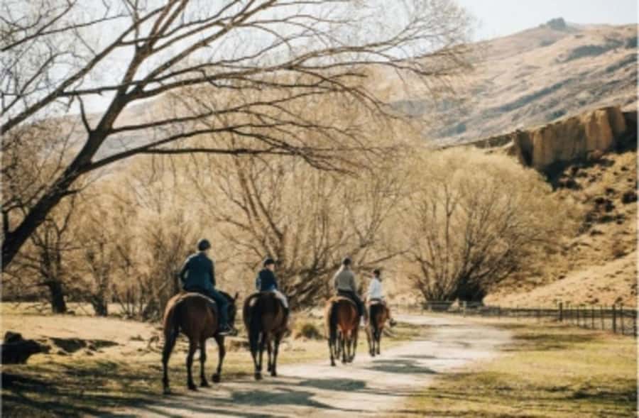 Cardrona Valley: Horse Trekking Experience - Meeting the horses at the Cardrona Bra Fence