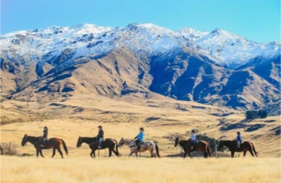 Cardrona Valley: Horse Trekking Experience - What the ride feels like for beginners