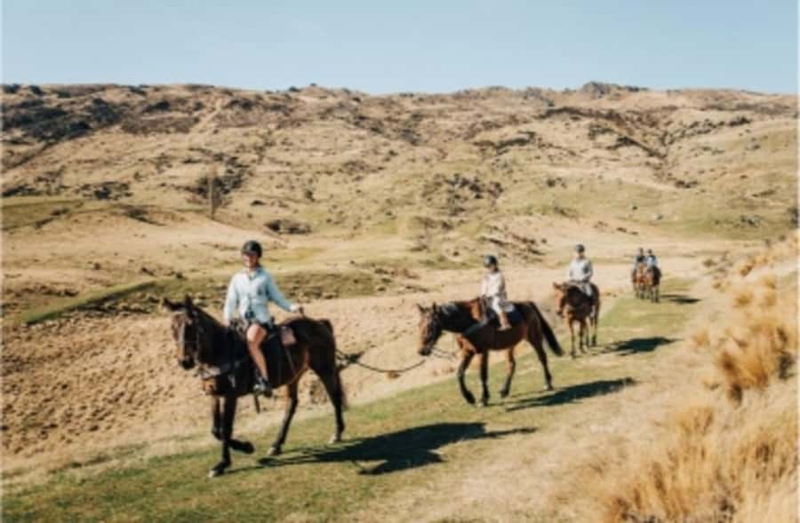 Cardrona Valley: Horse Trekking Experience - The price and what you receive for $298