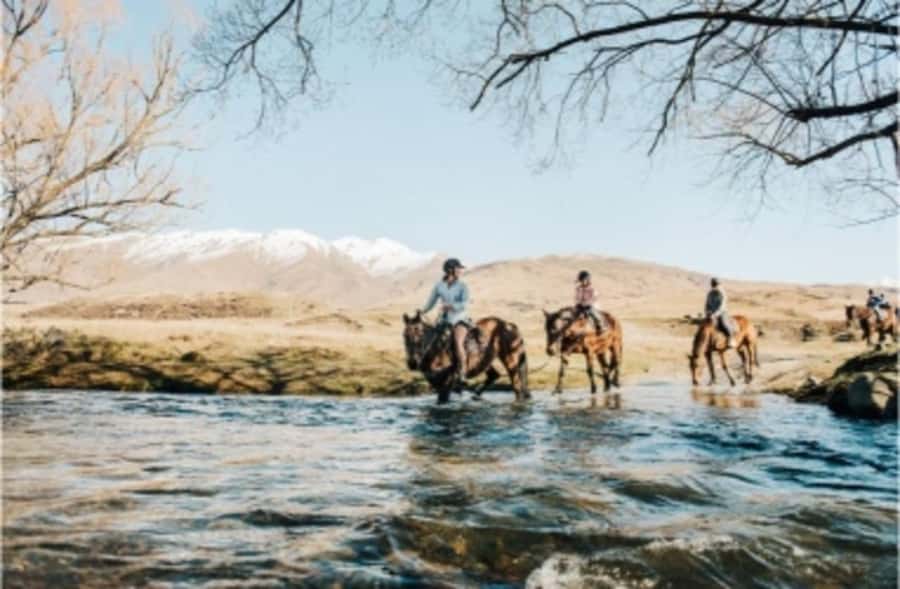 Cardrona Valley: Horse Trekking Experience - Who should book this Cardrona ride