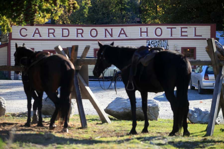 Cardrona Valley: Horse Trekking Experience - One-on-one instruction before the trail