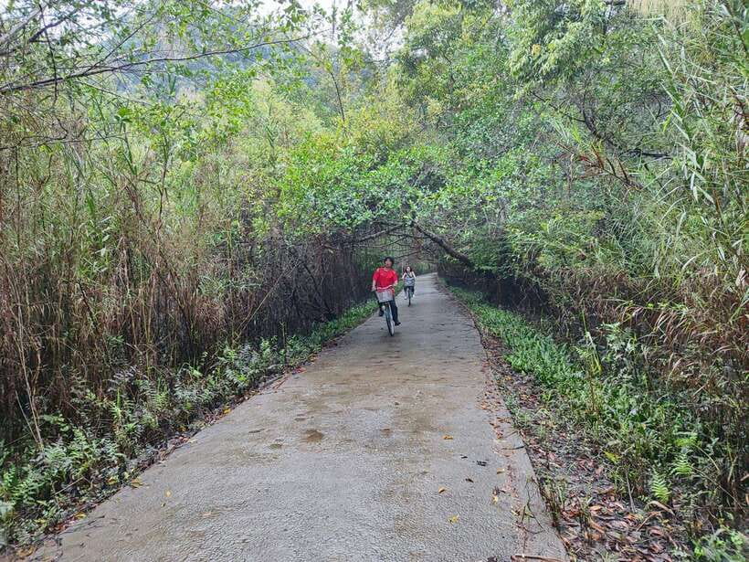 Cat Ba National Park Full Day Guide Tour Trekking & Kayaking - Why this Cat Ba day works so well