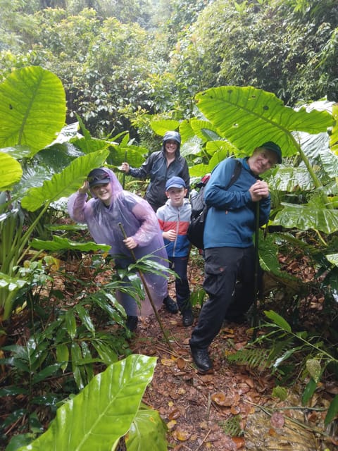Cat Ba National Park Full Day Guide Tour Trekking & Kayaking - The final climb and Viet Hai village