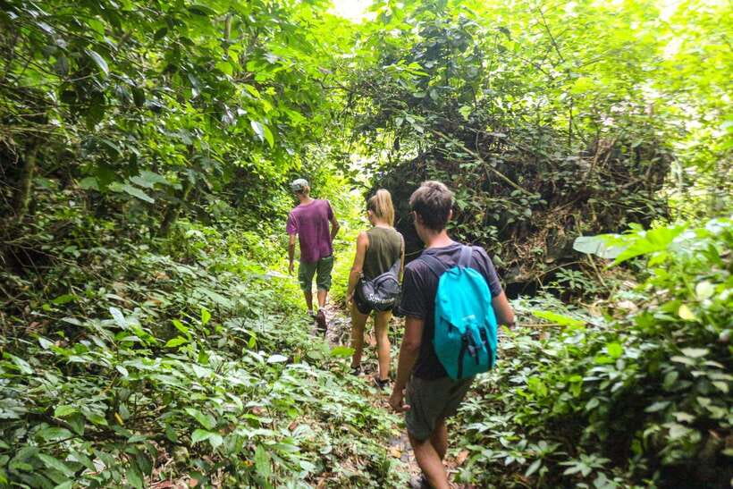 Cat Ba: National Park Trek, Village Visit and Kayak Day Tour - What the $66 price really includes