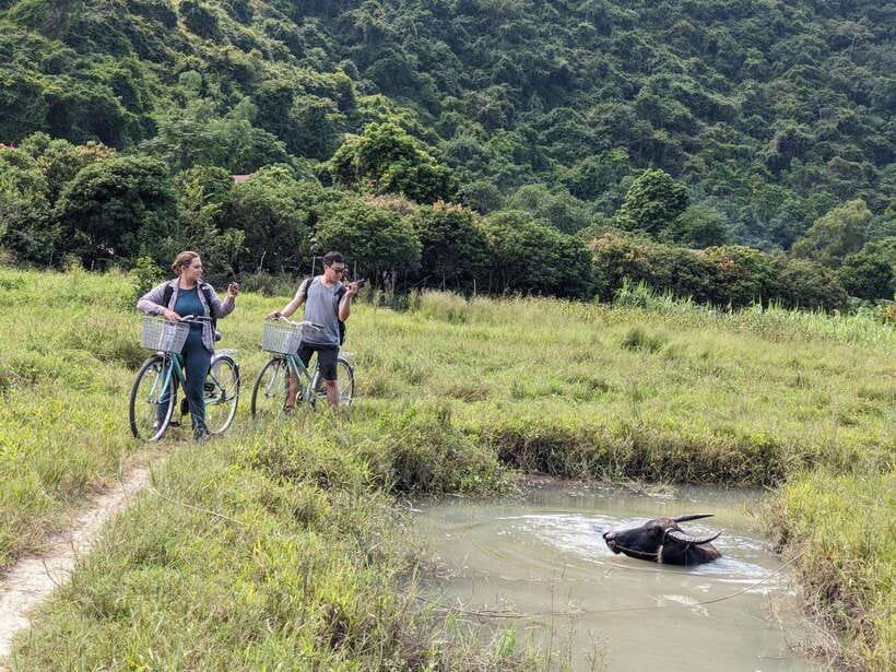 Cat Ba National Park Trekking & Ancient Village Biking - Frog Lake and its unusual trees