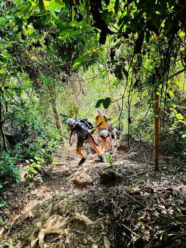 Cat Ba National Park Trekking & Ancient Village Biking - The climb through Cat Ba National Park