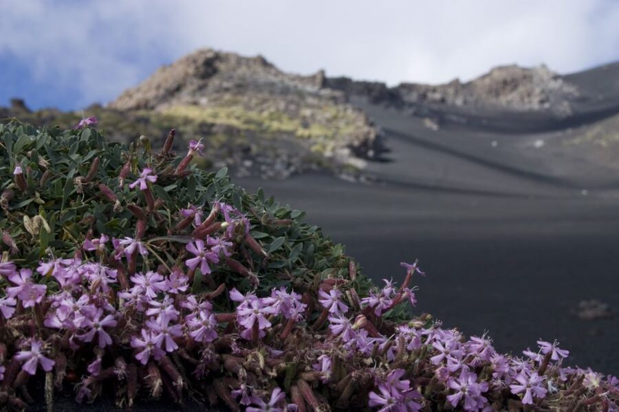 Catania: Etna Morning or Sunset Trek with Lava Tunnel & Gear - Entering the lava tunnel with helmet and flashlight