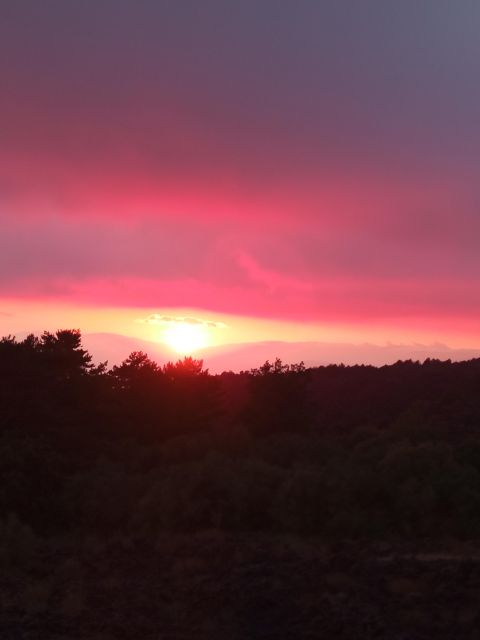 Catania: Mount Etna Sunset Trekking with Wine Tasting - Price, group size, and practical value