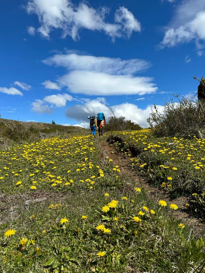 Cerro Castillo: Patagonia Mountain Trekking to the Lagoon - How hard is the trek?