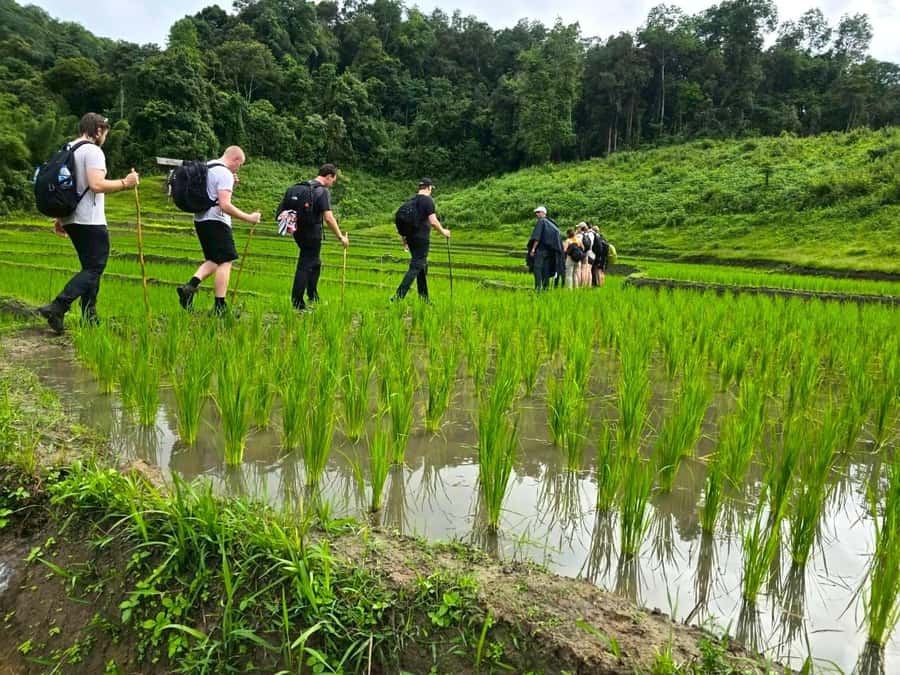 Chiang Mai: 1-Day Trekking Experience to Village & Waterfall - Waterfalls, swimming, and lunch beside the trail