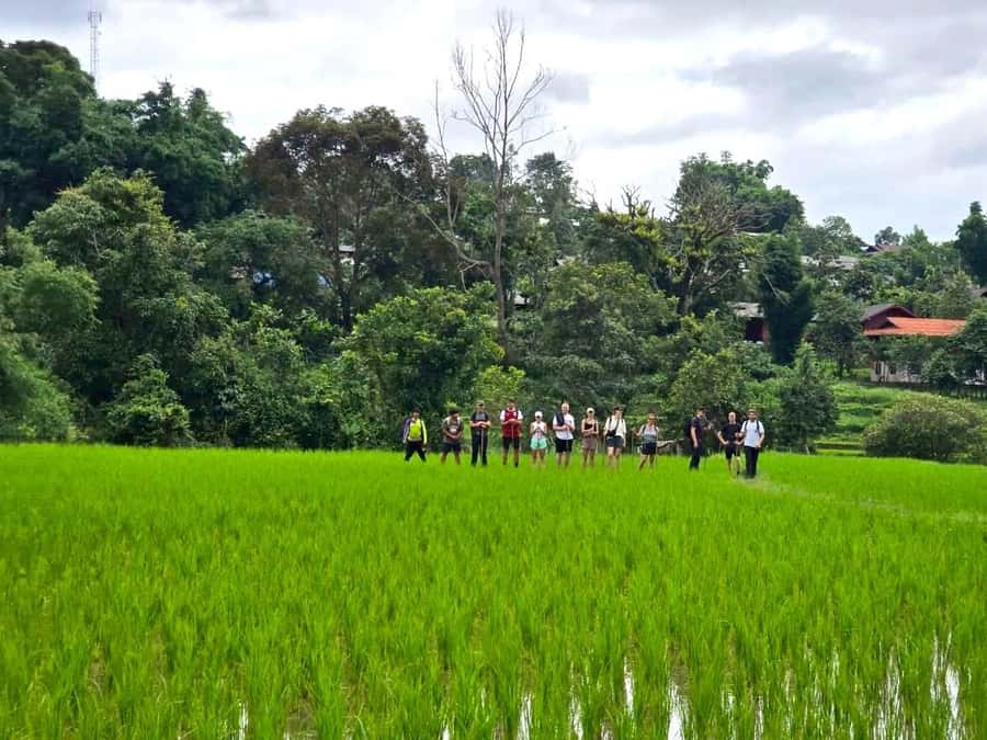 Chiang Mai: 1-Day Trekking Experience to Village & Waterfall - What to pack for the Mae Win trail