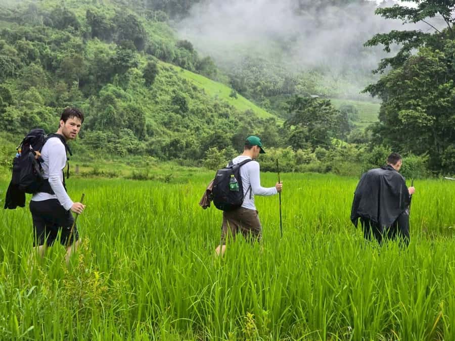 Chiang Mai: 1-Day Trekking Experience to Village & Waterfall - Timing, cancellations, and who should book